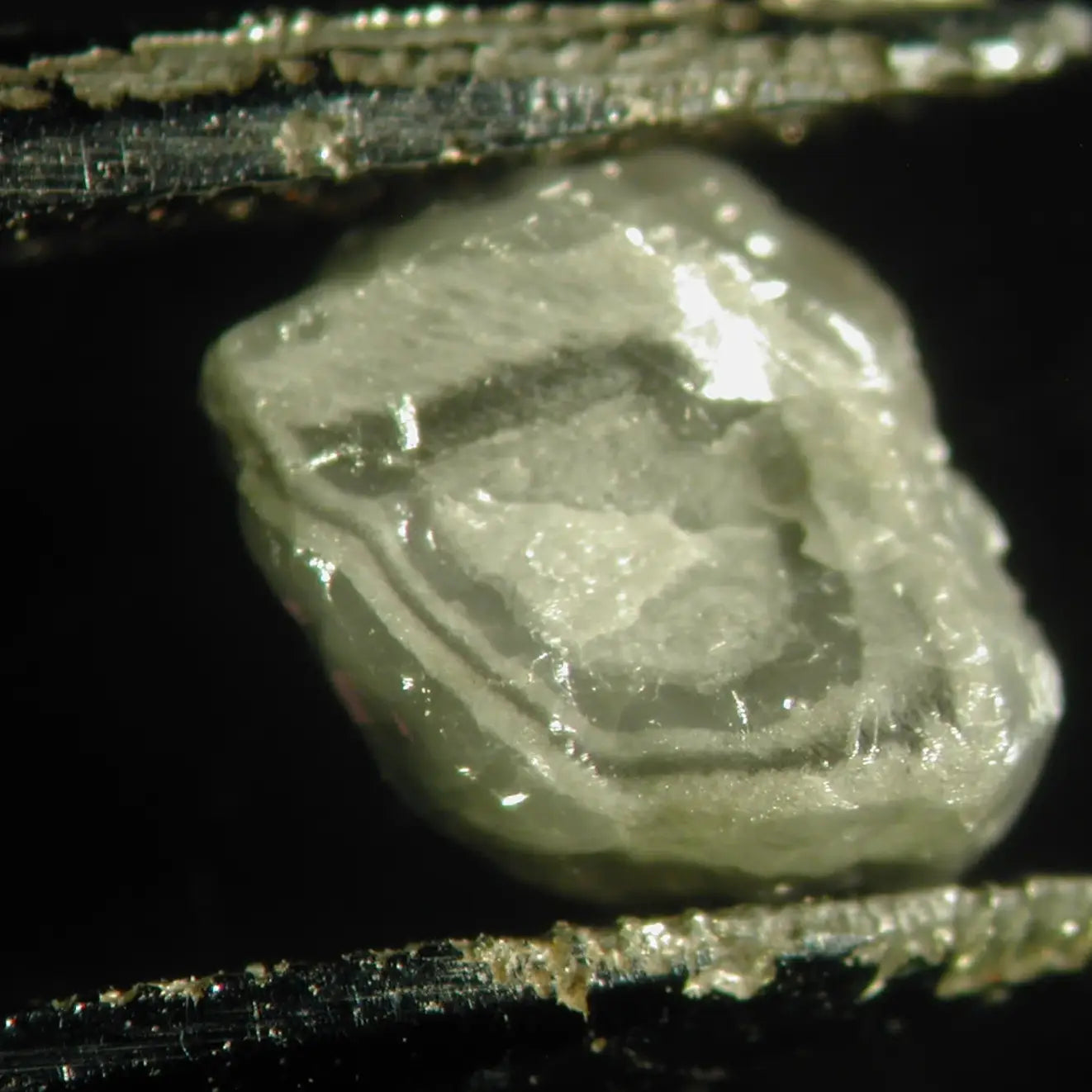 ©YAAKOV WEISS, LAMONT-DOHERTY EARTH OBSERVATORY (AUSSCHNITT)