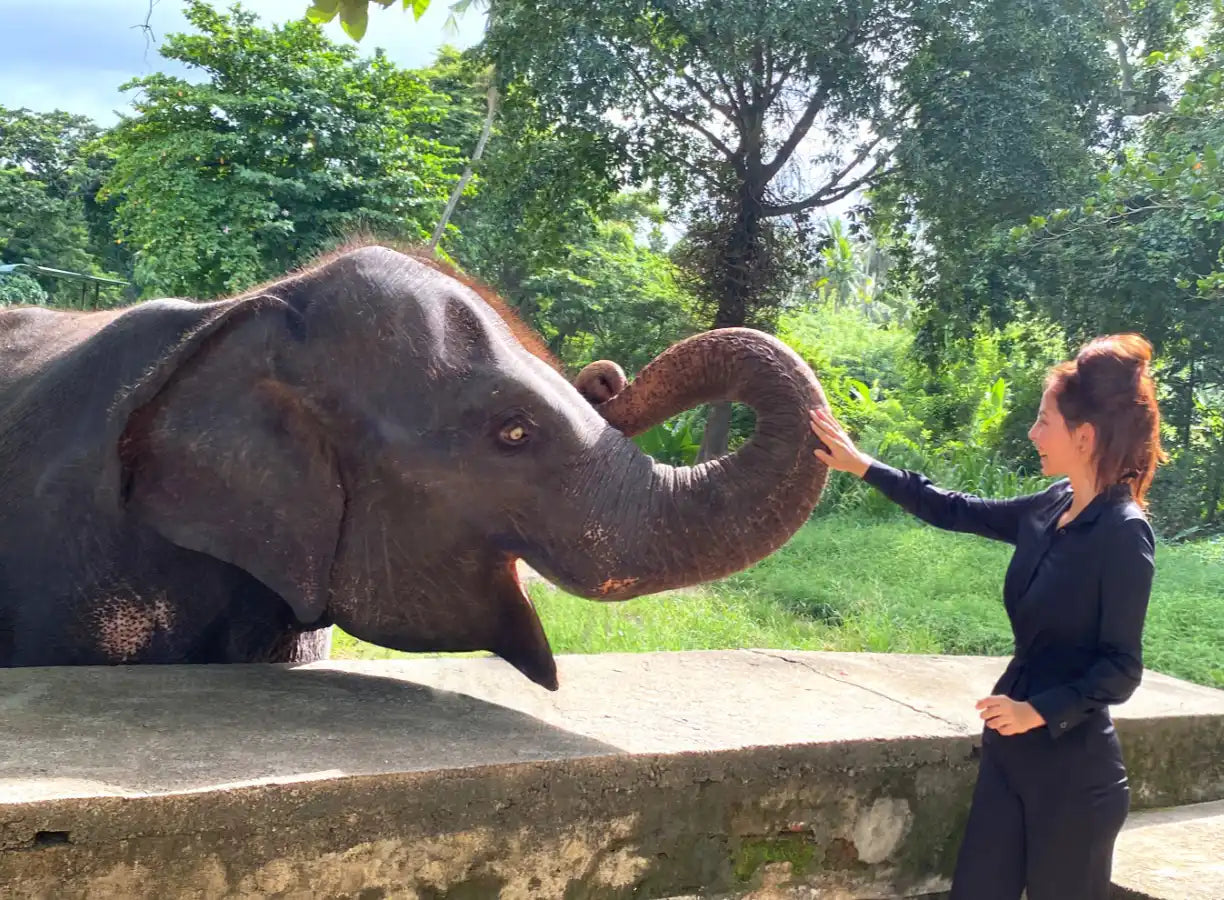 Elefant, der mit einer Frau interagiert.