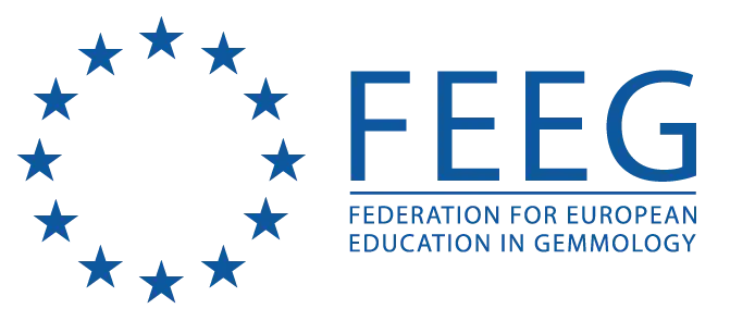 Blaues Sternkreis-Logo-Design auf schwarzem Hintergrund.