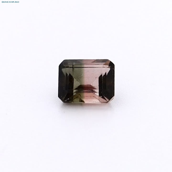 Load video: Zweifärbiger Turmalin (0,85ct)