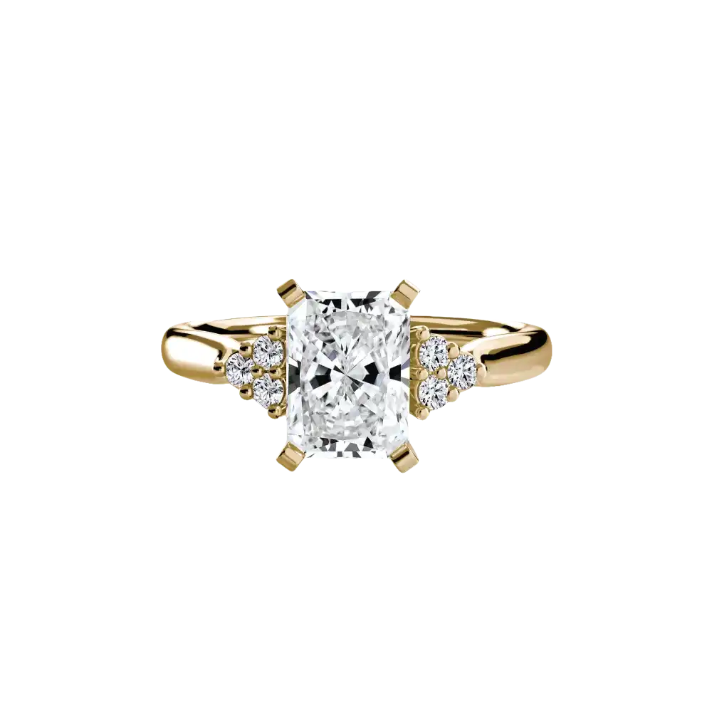 Solitaire with Cluster Shoulders 2 - setting