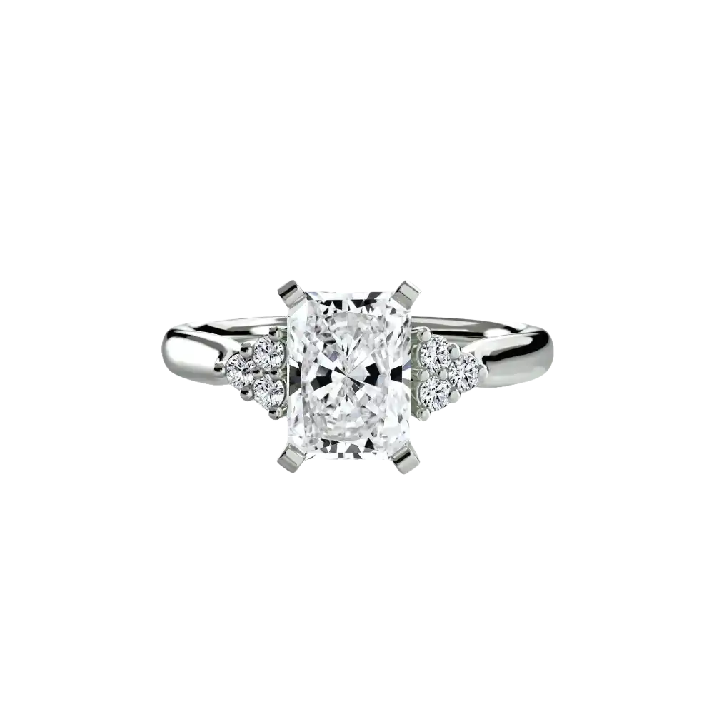Solitaire with Cluster Shoulders 2 - setting