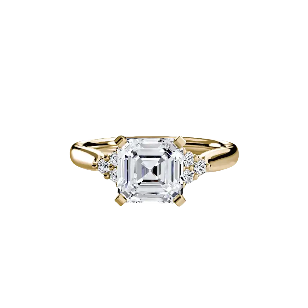 Solitaire with Cluster Shoulders 2 - setting