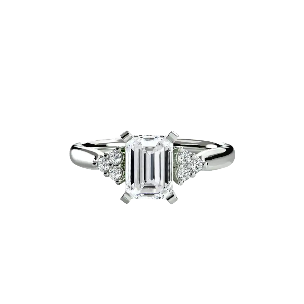 Solitaire with Cluster Shoulders 2 - setting