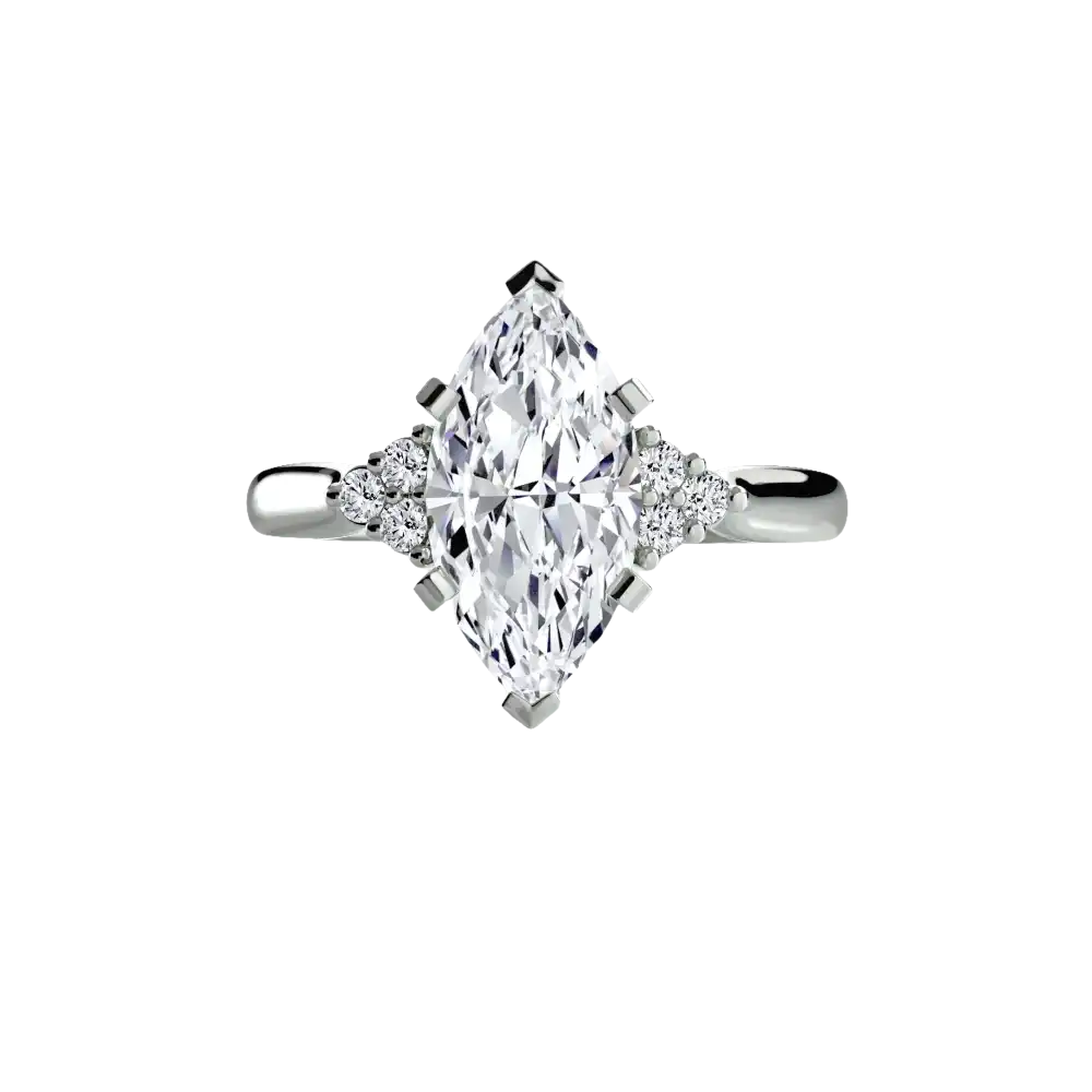 Solitaire with Cluster Shoulders 2 - setting