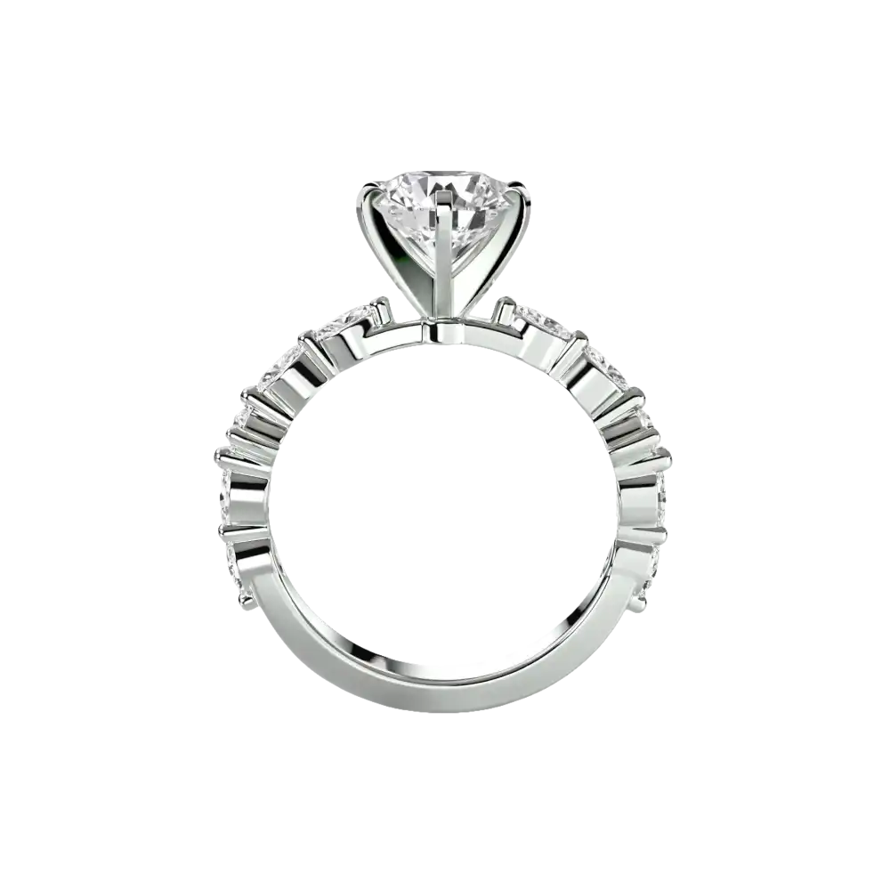 Solitaire with Eternity Pavé - setting