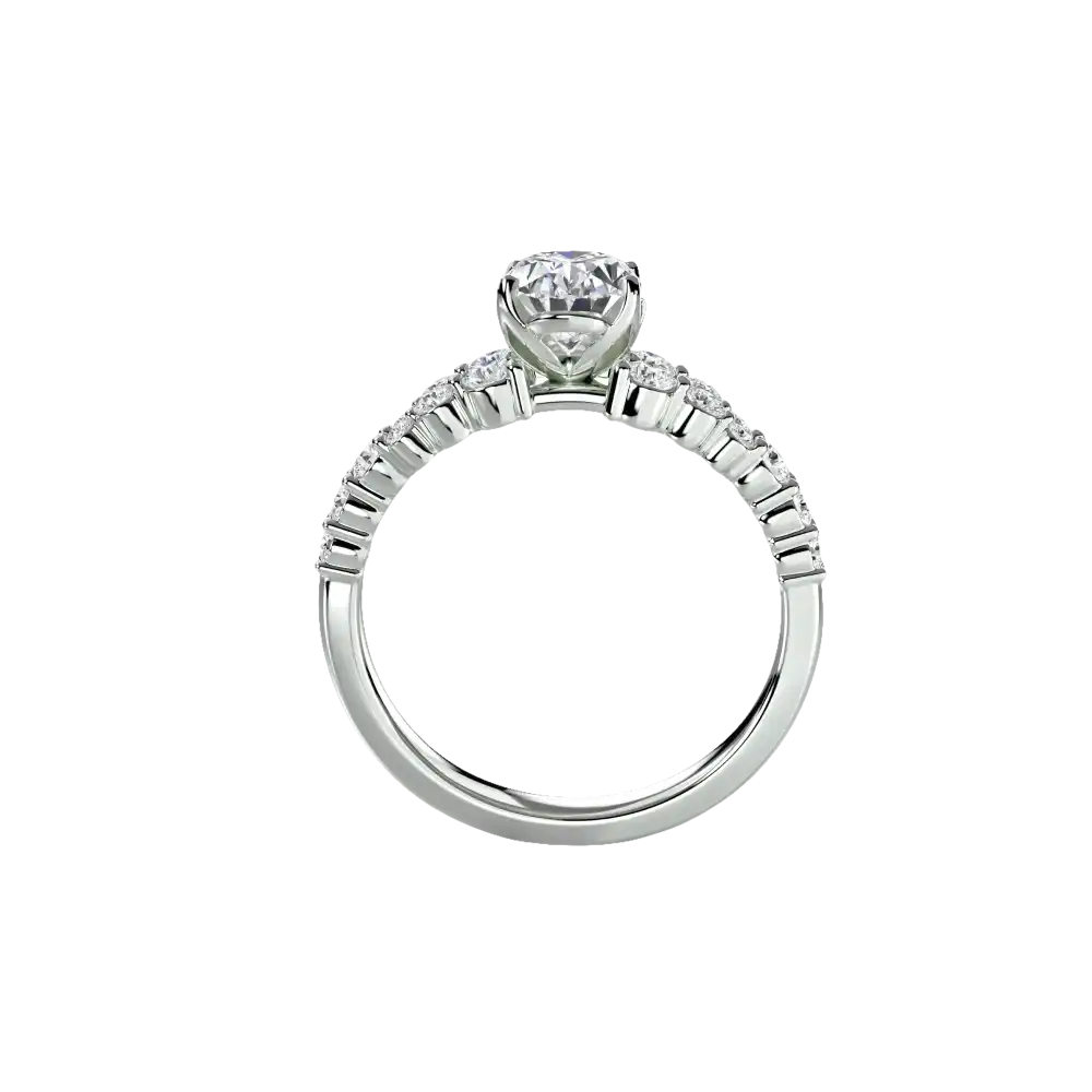 The Celestial Cluster Ring - setting