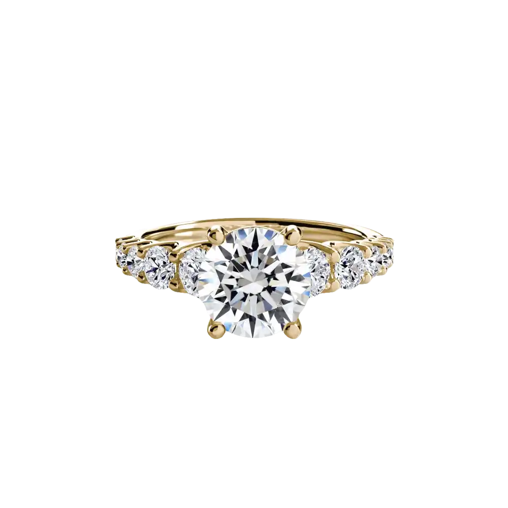 The Graduated Accent Ring - setting