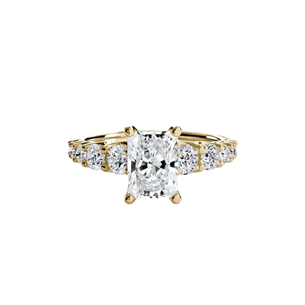 The Graduated Accent Ring - setting