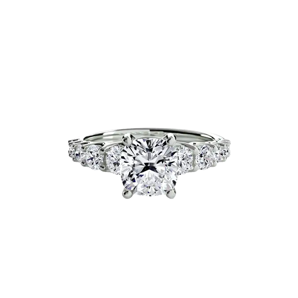 The Graduated Accent Ring - setting