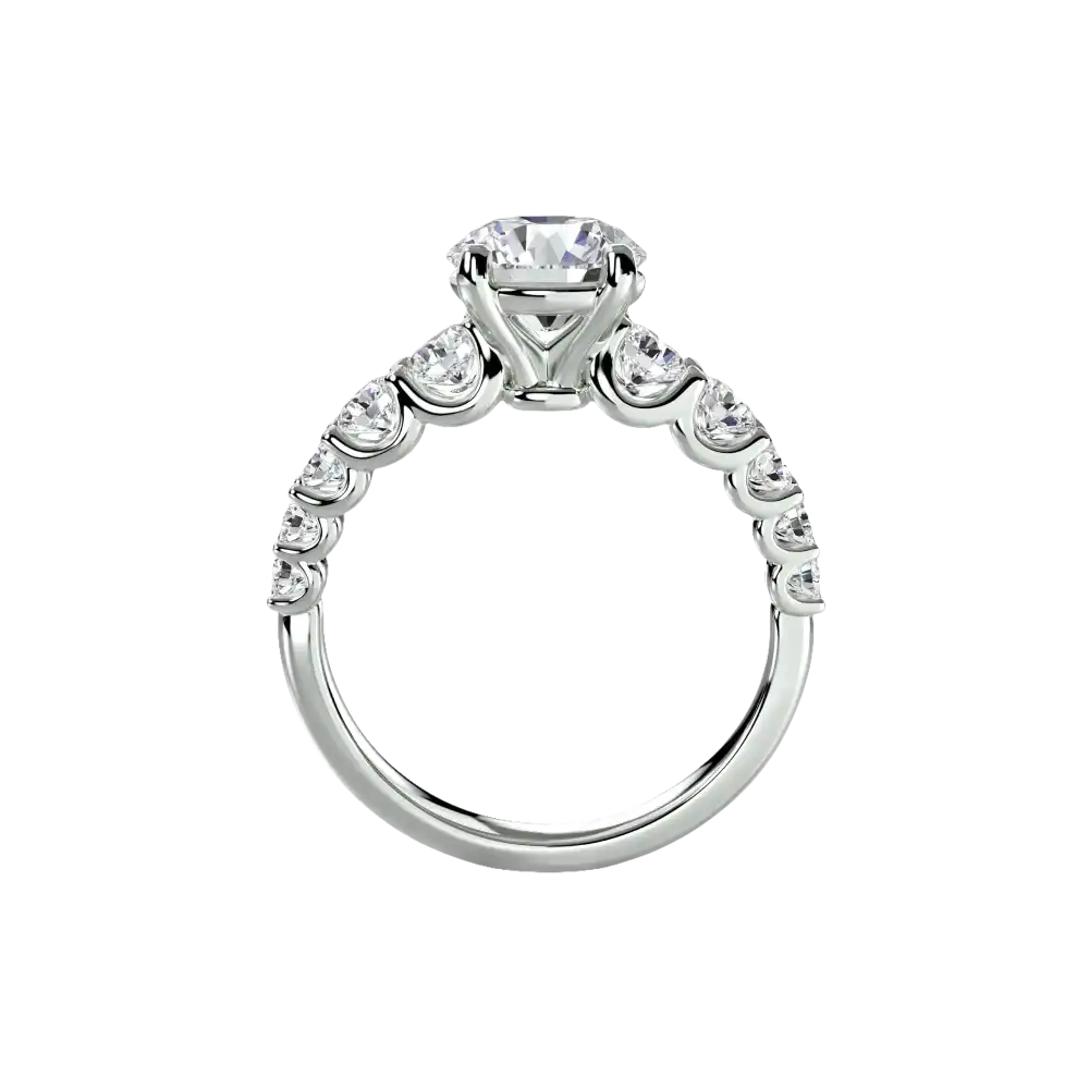 The Graduated Accent Ring - setting