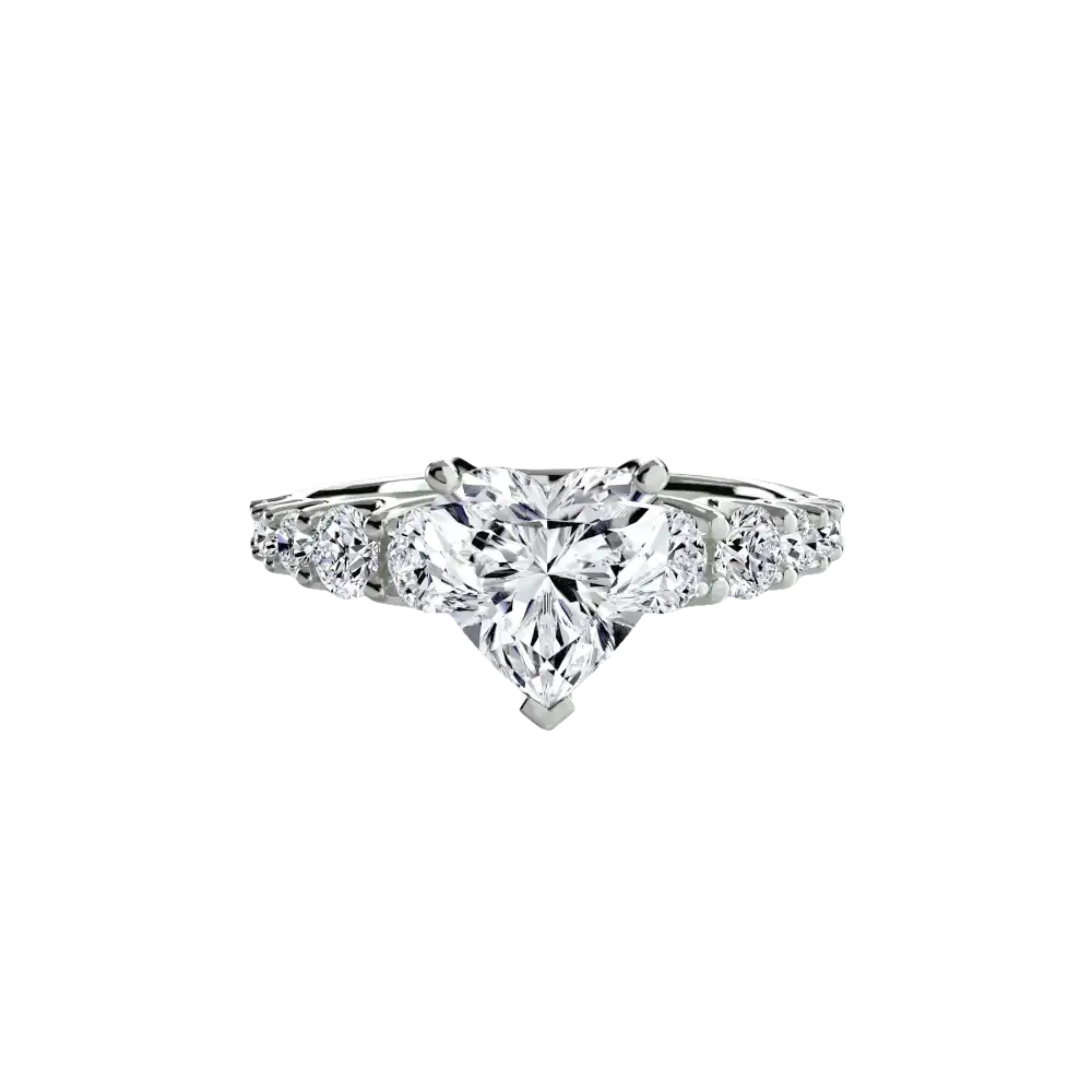 The Graduated Accent Ring - setting