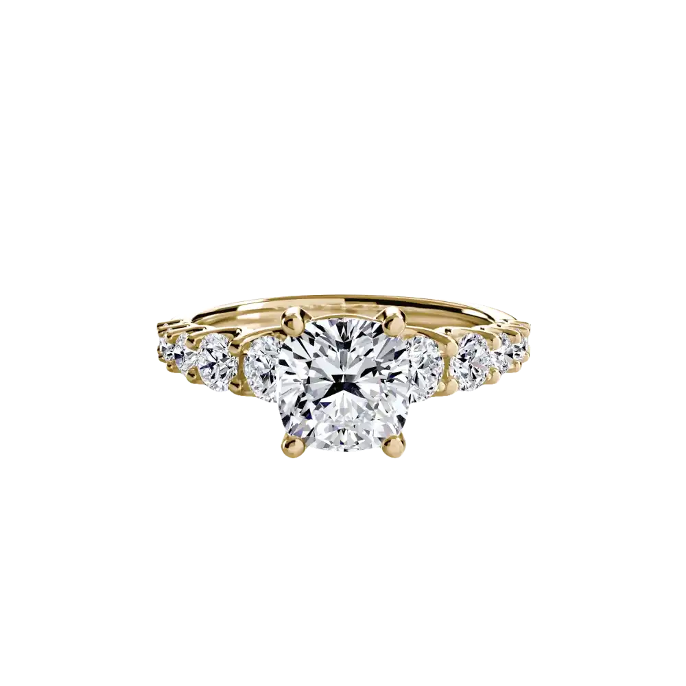 The Graduated Accent Ring - setting
